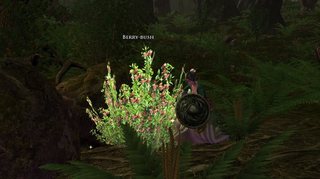 Fangorn03-05.jpg