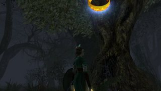 Fangorn07-09.jpg