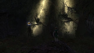 Rohan44-02.jpg