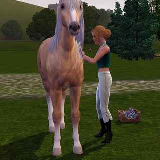 Sims01-05.jpg