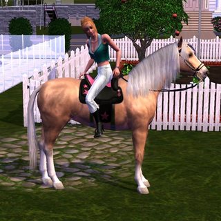 Sims01-06.jpg